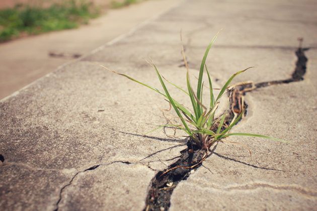 5 Tips To Patch Up Cracks In Concrete Sidewalk DIY In Lemon Grove